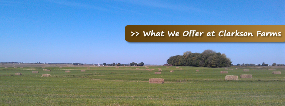 What-We-Offer-at-Clarkson-Farms